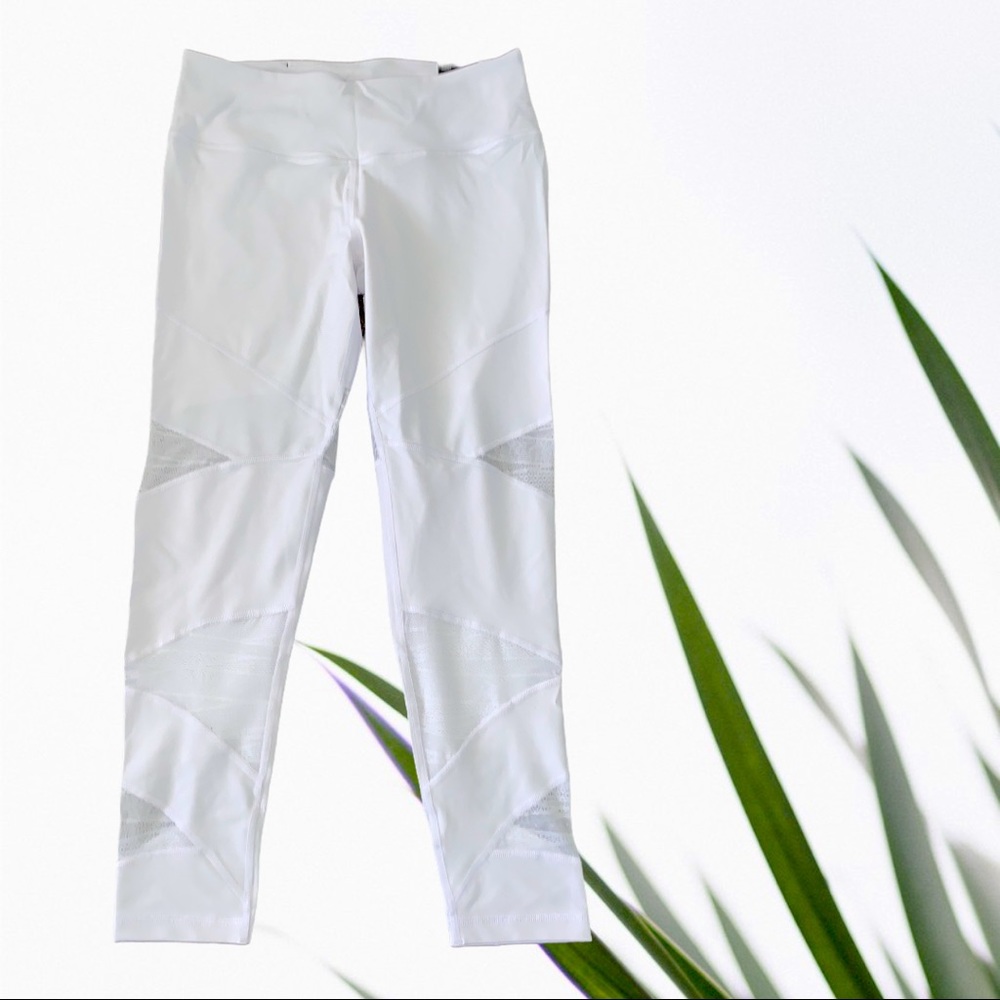 VICTORIA SPORT KNOCKOUT TIGHT